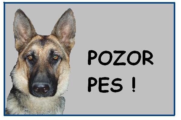 POZOR SÁRA.JPG