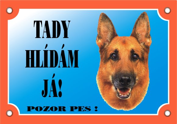 Nemecky_ovcak_zepredu.jpg