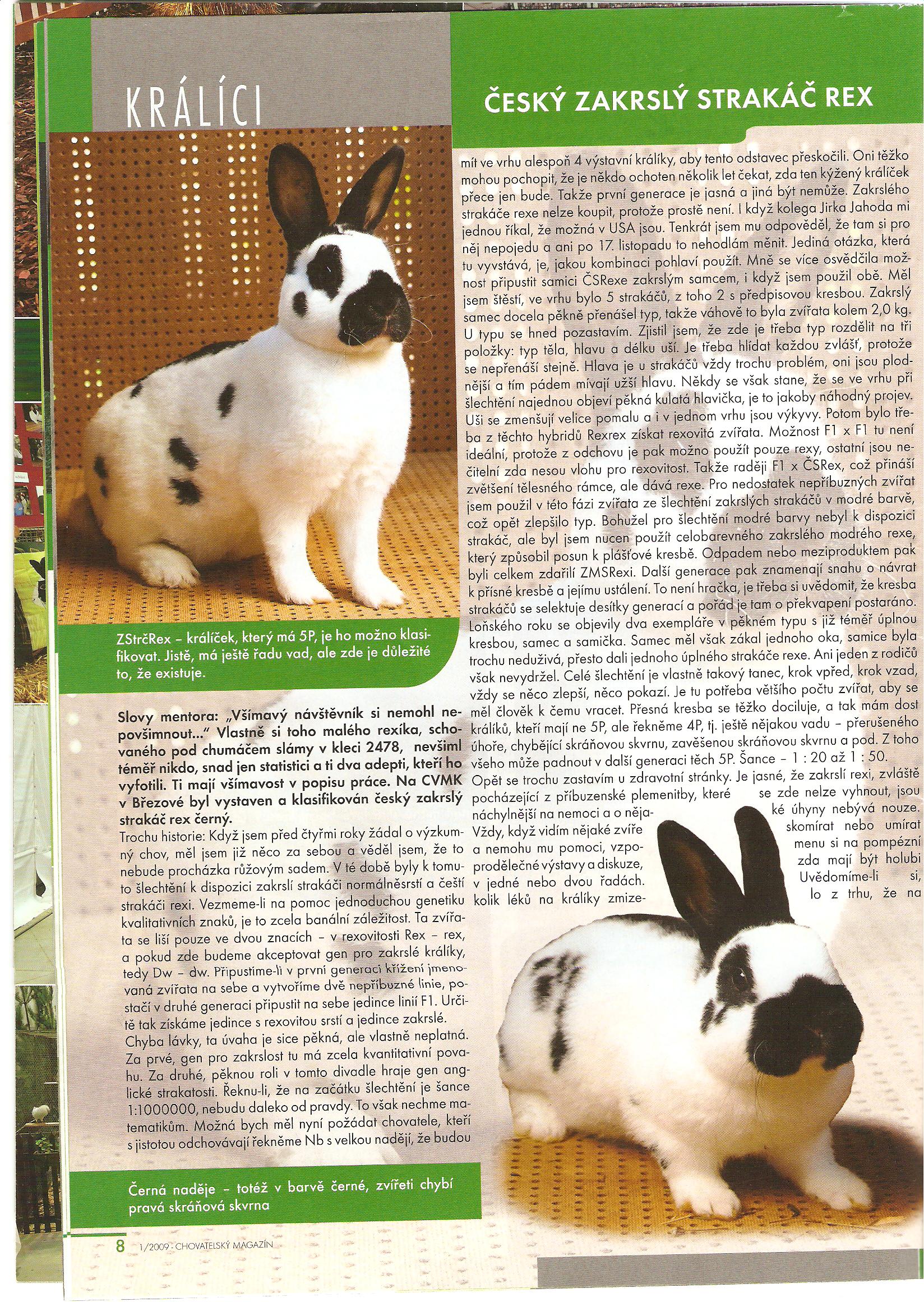 Králíci 004.jpg