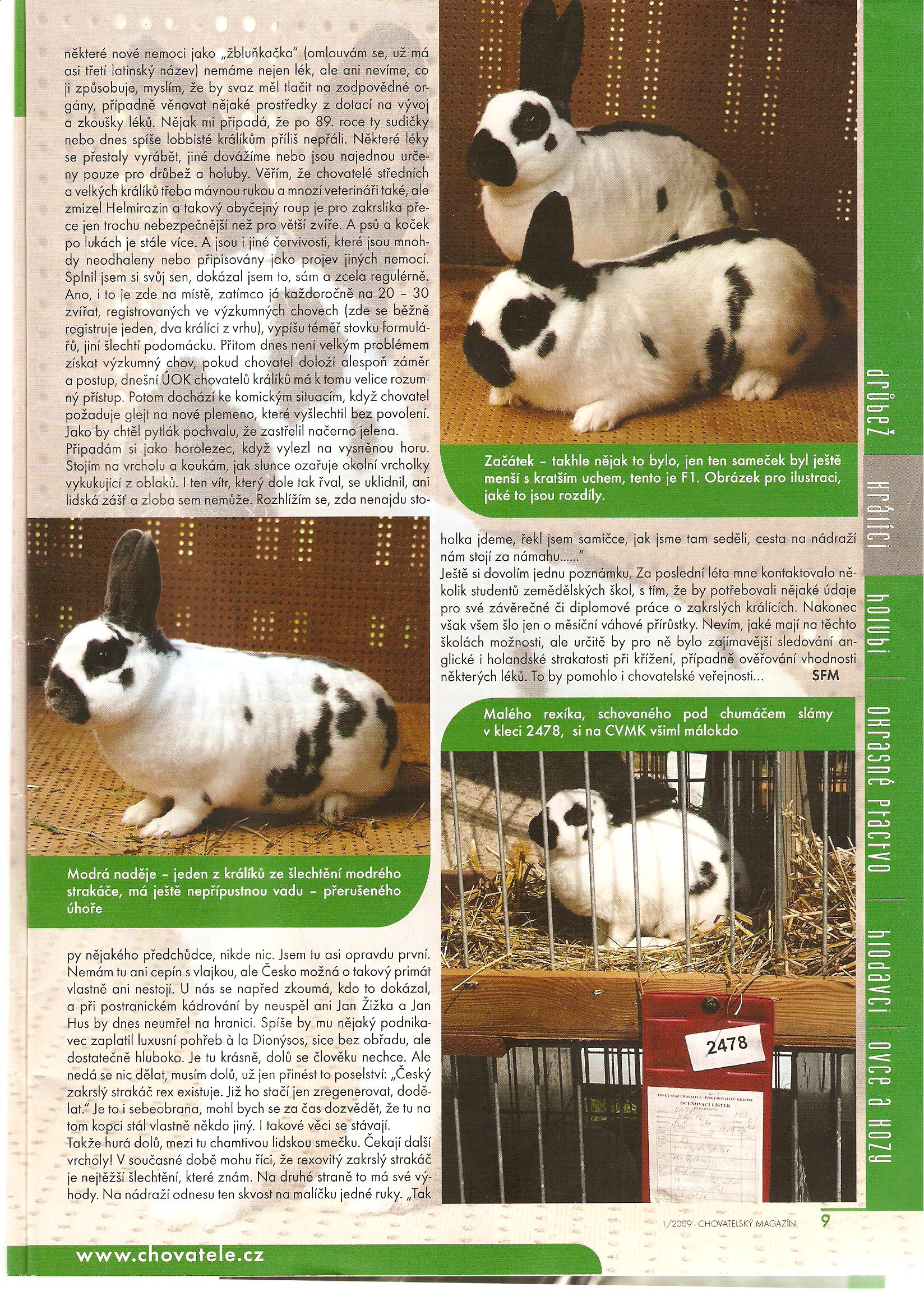 Králíci 005.jpg