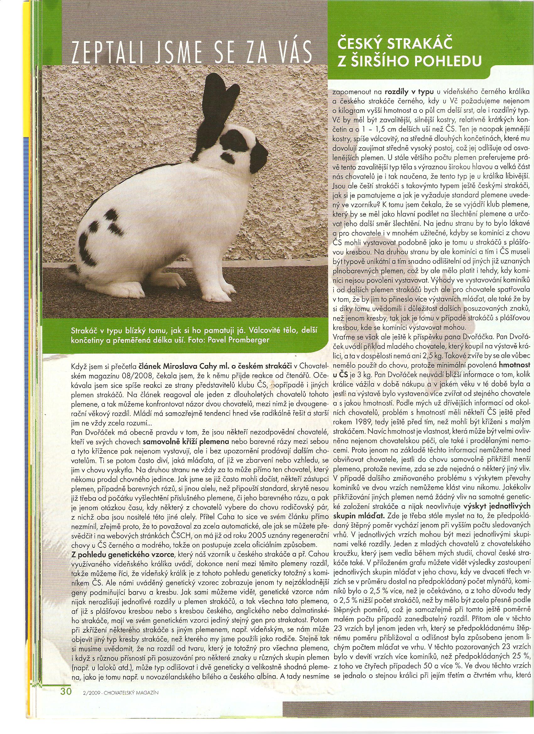 Králíci 007.jpg
