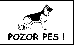 pes2.GIF
