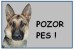 POZOR SÁRA.JPG